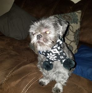 Meet your Posher, Kristina